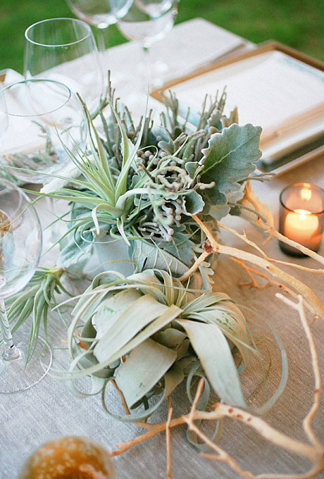 bohemian-wedding-montauk-new-york-hamptons-air-plant-green-wedding-centerpiece